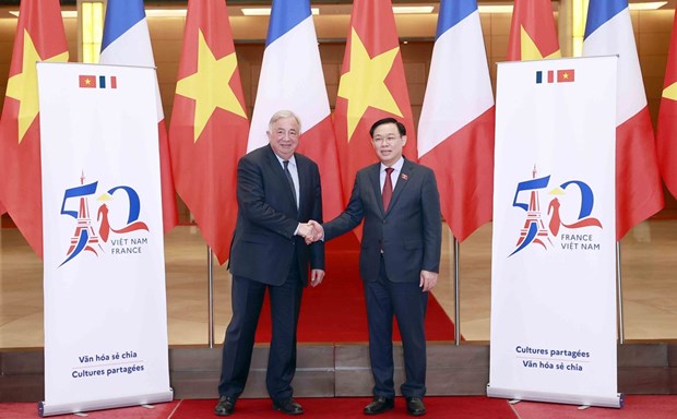 Le Vietnam et la France, partenaires de confiance dans une relation d’accumulation quantitative et qualitative hinh anh 2