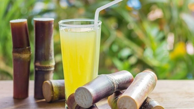 Le jus de canne a sucre vietnamien gagne en popularite a l’etranger hinh anh 1