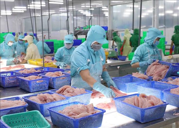 Le Japon devient le plus grand importateur de produits aquatiques vietnamiens hinh anh 1
