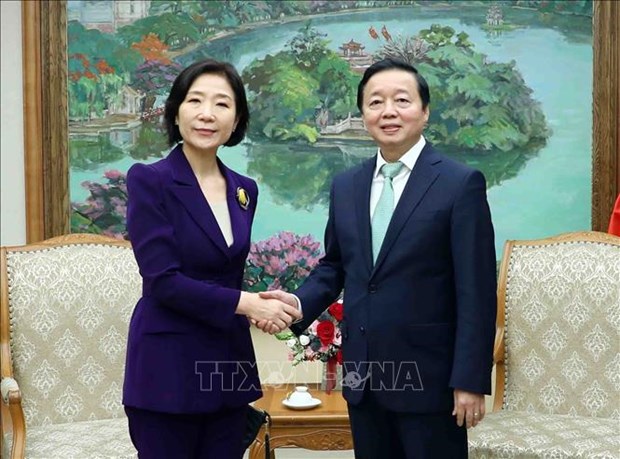 Le vice-PM Tran Hong Ha recoit l'ambassadrice de Republique de Coree au Vietnam hinh anh 1