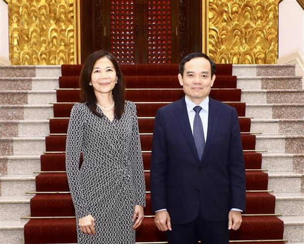 Le vice-Premier ministre Tran Luu Quang recoit la coordinatrice residente de l’ONU au Vietnam hinh anh 2