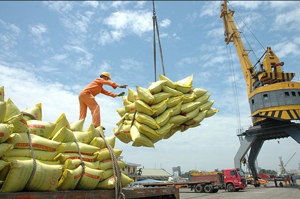 Les prix a l'exportation du riz en hausse hinh anh 1
