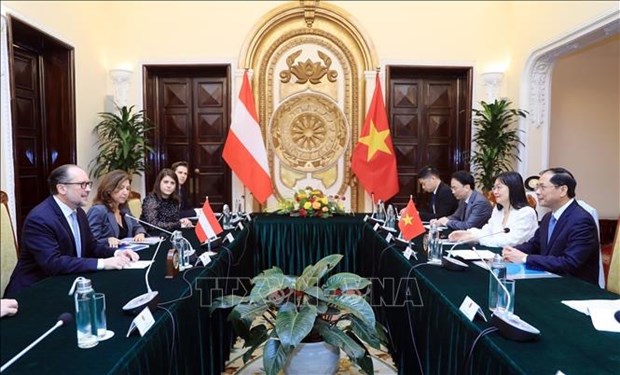 Le Vietnam et l’Autriche plaident pour des liens accrus hinh anh 2