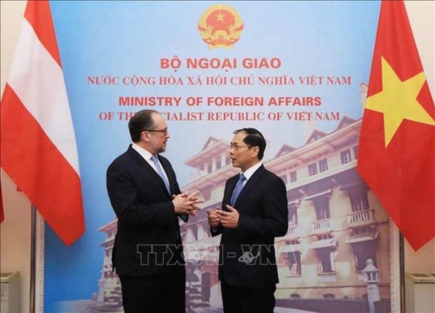 Le Vietnam et l’Autriche plaident pour des liens accrus hinh anh 1