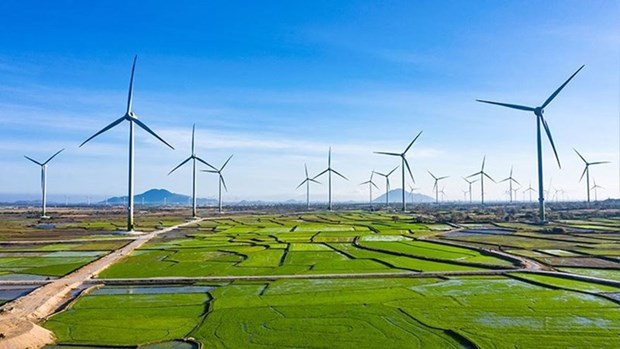 Promouvoir la croissance verte au Vietnam hinh anh 1