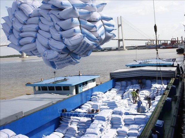 Les Philippines, premier importateur de riz vietnamien au premier trimestre de l'annee hinh anh 1