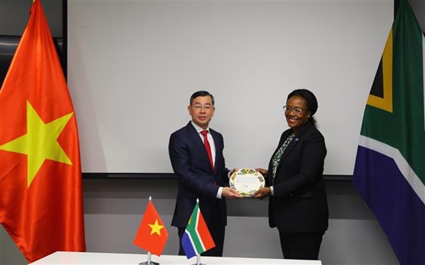Les Audits d’Etat du Vietnam et de l’Afrique du Sud dynamisent leur cooperation bilaterale hinh anh 2
