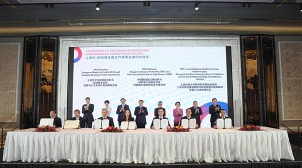Singapour et Shanghai signent 15 accords economiques hinh anh 1