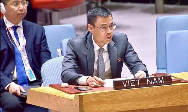 Le Vietnam appelle tous les Etats membres a adherer aux principes de la Charte de l'ONU hinh anh 1