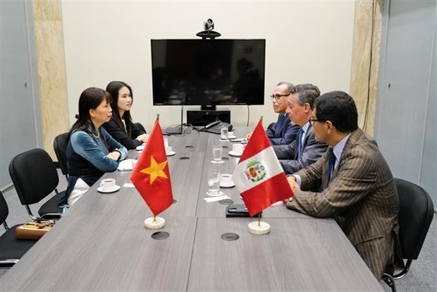 La presidente peruvienne apprecie la relation de cooperation entre le Vietnam et le Perou hinh anh 2
