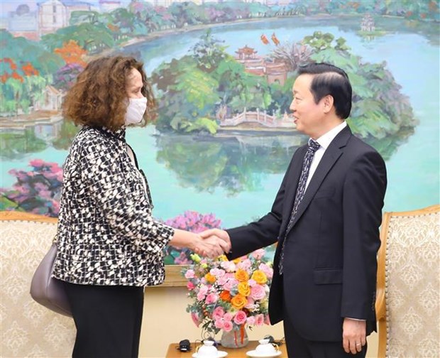Le vice-PM Tran Hong Ha recoit la directrice nationale de la BM au Vietnam hinh anh 1