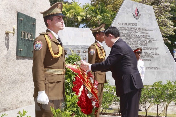 La visite de Vuong Dinh Hue a marque un nouveau jalon dans les relations Vietnam – Cuba hinh anh 2