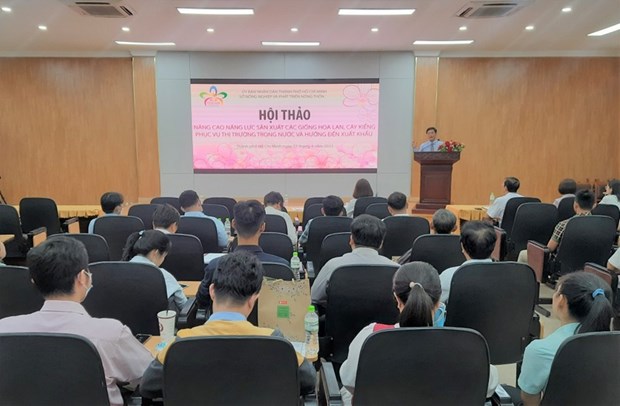 Ho Chi Minh-Ville ameliore sa capacite de production de plantes ornementales hinh anh 1