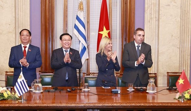 Le president de l'AN Vuong Dinh Hue termine sa visite a Cuba, en Argentine et en Uruguay hinh anh 1