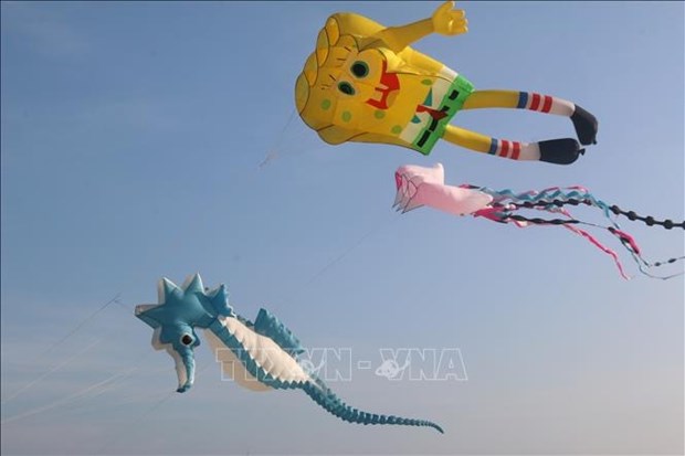 Le festival de cerf-volant de Binh Thuan fascine les visiteurs hinh anh 2
