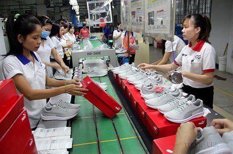 Les fabricants vietnamiens trouvent chaussure a leurs pieds au Luxembourg hinh anh 1