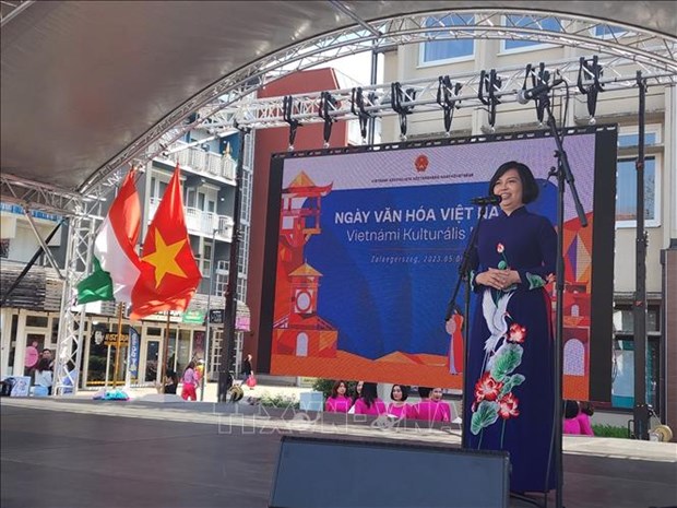 La Journee de la culture vietnamienne a lieu en Hongrie hinh anh 1