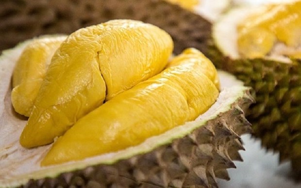 Le durian vietnamien Ri6 debarque dans les rayons des supermarches britanniques hinh anh 1