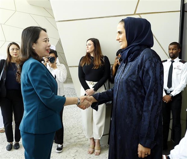 Le Vietnam souhaite promouvoir sa cooperation integrale avec le Qatar hinh anh 2