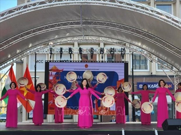 La Journee de la culture vietnamienne a lieu en Hongrie hinh anh 3
