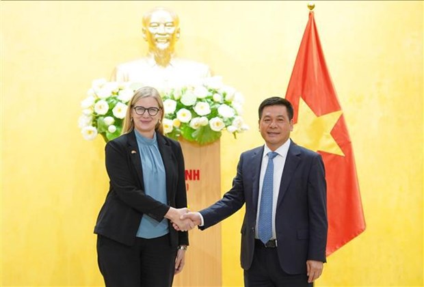 Le Vietnam et la Suede ont beaucoup de place pour renforcer leur commerce hinh anh 1