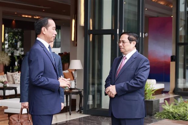 Le Premier ministre Pham Minh Chinh rencontre le president Joko Widodo hinh anh 1