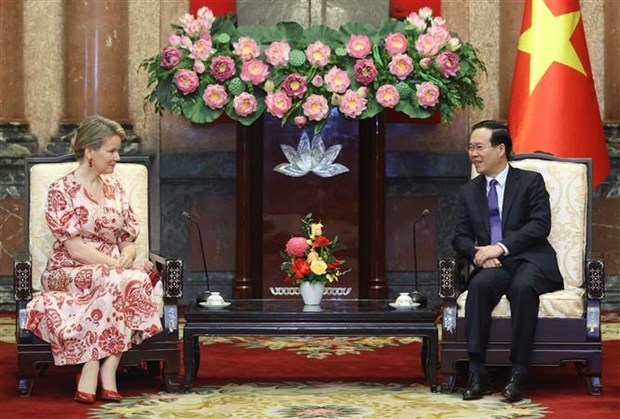 Le president Vo Van Thuong recoit la reine Mathilde de Belgique hinh anh 1