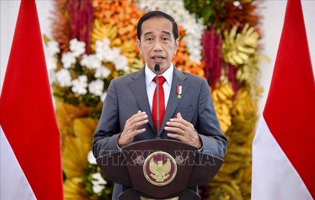 Le president indonesien souligne la solidarite de l’ASEAN lors de l’ouverture du 42e Sommet du bloc hinh anh 1