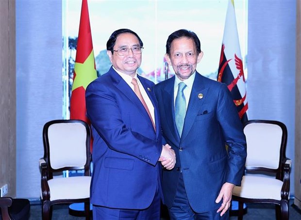 Le Premier ministre Pham Minh Chinh rencontre le sultan de Brunei hinh anh 1