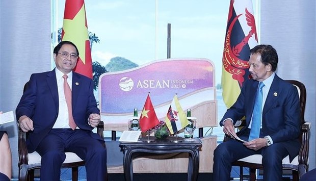 Le Premier ministre Pham Minh Chinh rencontre le sultan de Brunei hinh anh 2