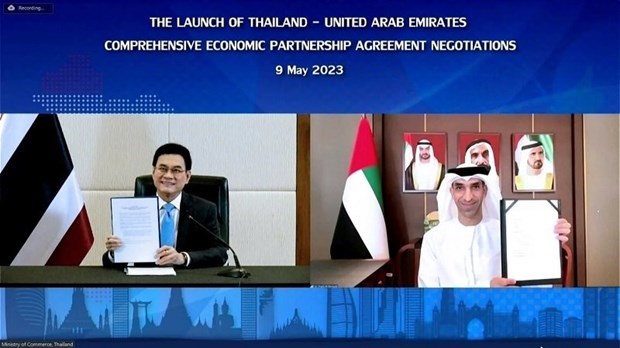 La Thailande et les Emirats arabes unis nourrissent de grands espoirs pour le premier pacte commercial hinh anh 1