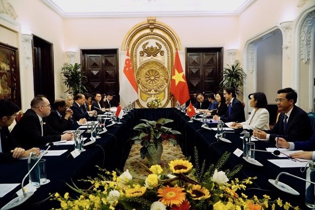 Le Vietnam et Singapour tiennent leur 15e consultation politique hinh anh 1