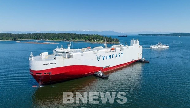 Un lot de voitures electriques VinFast VF 8 arrive au Canada hinh anh 1
