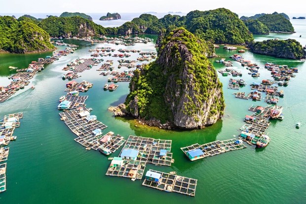 Des destinations prisees au Vietnam attirent les touristes hinh anh 1