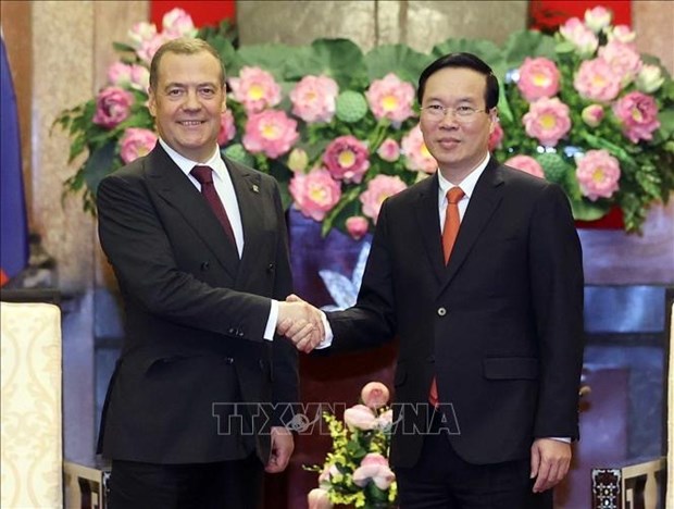 Le president Vo Van Thuong salue la visite du president du Parti Russie unie hinh anh 1