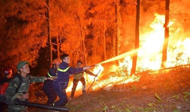 Depeche officielle sur le renforcement des mesures d'urgence contre les incendies de foret hinh anh 1