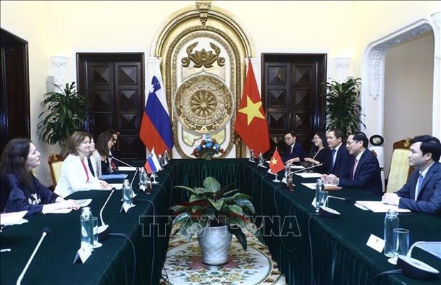 Le Vietnam attache une grande importance a la cooperation multiforme avec la Slovenie hinh anh 2