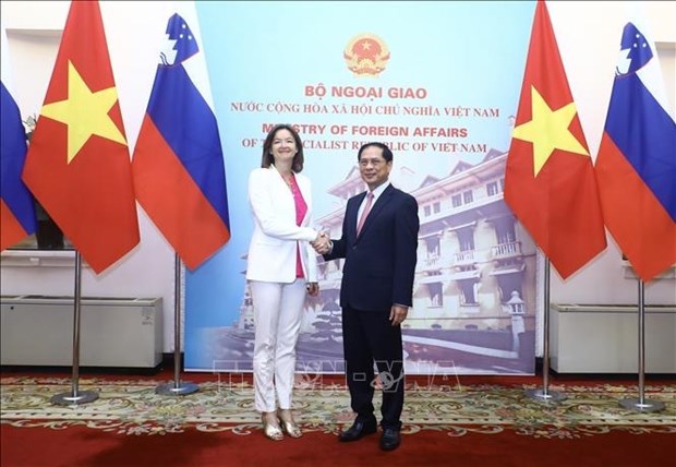 Le Vietnam attache une grande importance a la cooperation multiforme avec la Slovenie hinh anh 1