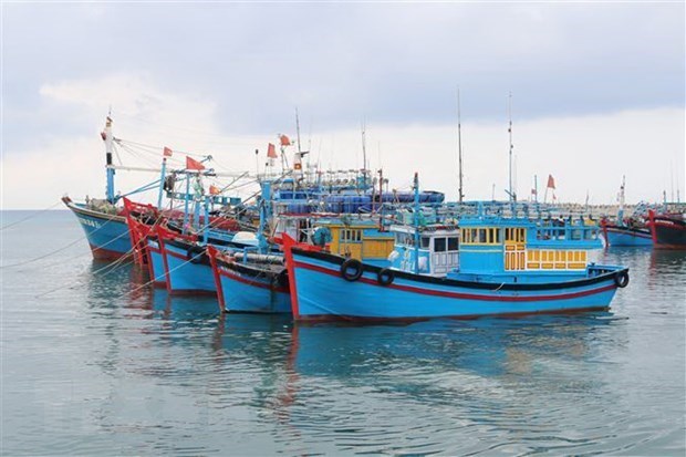 INN : 99% des navires de peche Binh Thuan dotes du systeme de surveillance par satellite hinh anh 1