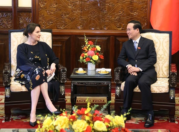 Le president Vo Van Thuong recoit les nouveaux ambassadeurs etrangers hinh anh 2