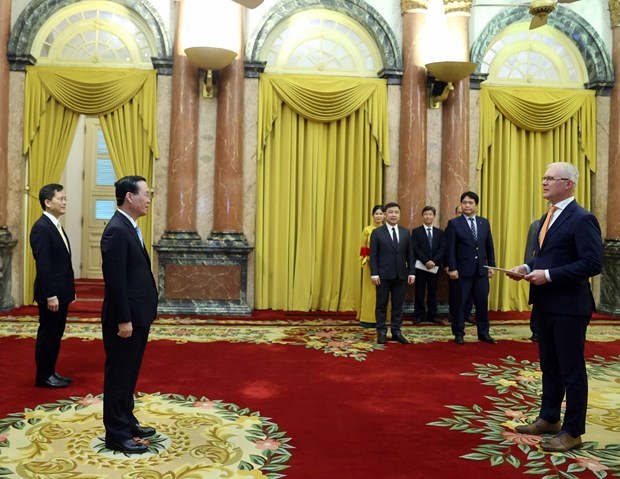 Le president Vo Van Thuong recoit les nouveaux ambassadeurs etrangers hinh anh 3