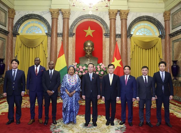 Le president Vo Van Thuong recoit les nouveaux ambassadeurs etrangers hinh anh 4
