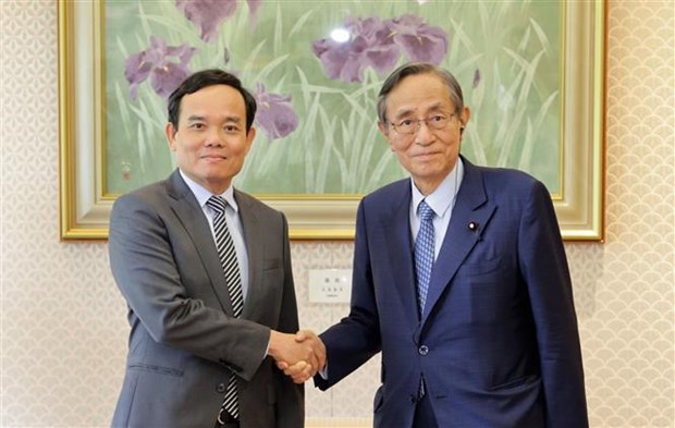 Activites du vice-Premier ministre Tran Luu Quang au Japon hinh anh 2