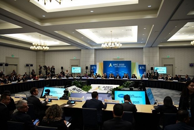 L’APEC appele a œuvrer pour une meilleure performance de l’OMC hinh anh 1