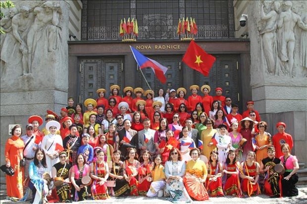 Les couleurs culturelles du Vietnam a un festival des groupes ethniques minoritaires en R. tcheque hinh anh 1