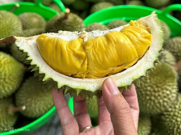 Les durians vietnamiens ont la peche en Chine hinh anh 1