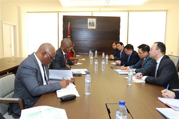 Le Vietnam et le Mozambique boostent leur cooperation dans le developpement agricole hinh anh 2