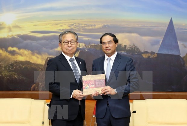 Lao Cai veut promouvoir davantage sa cooperation avec les partenaires japonais hinh anh 1