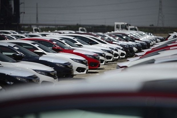 Les importations d'automobiles en baisse en mai hinh anh 1