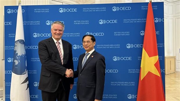 Le ministre des Affaires etrangeres rencontre le Secretaire general de l’OCDE hinh anh 1